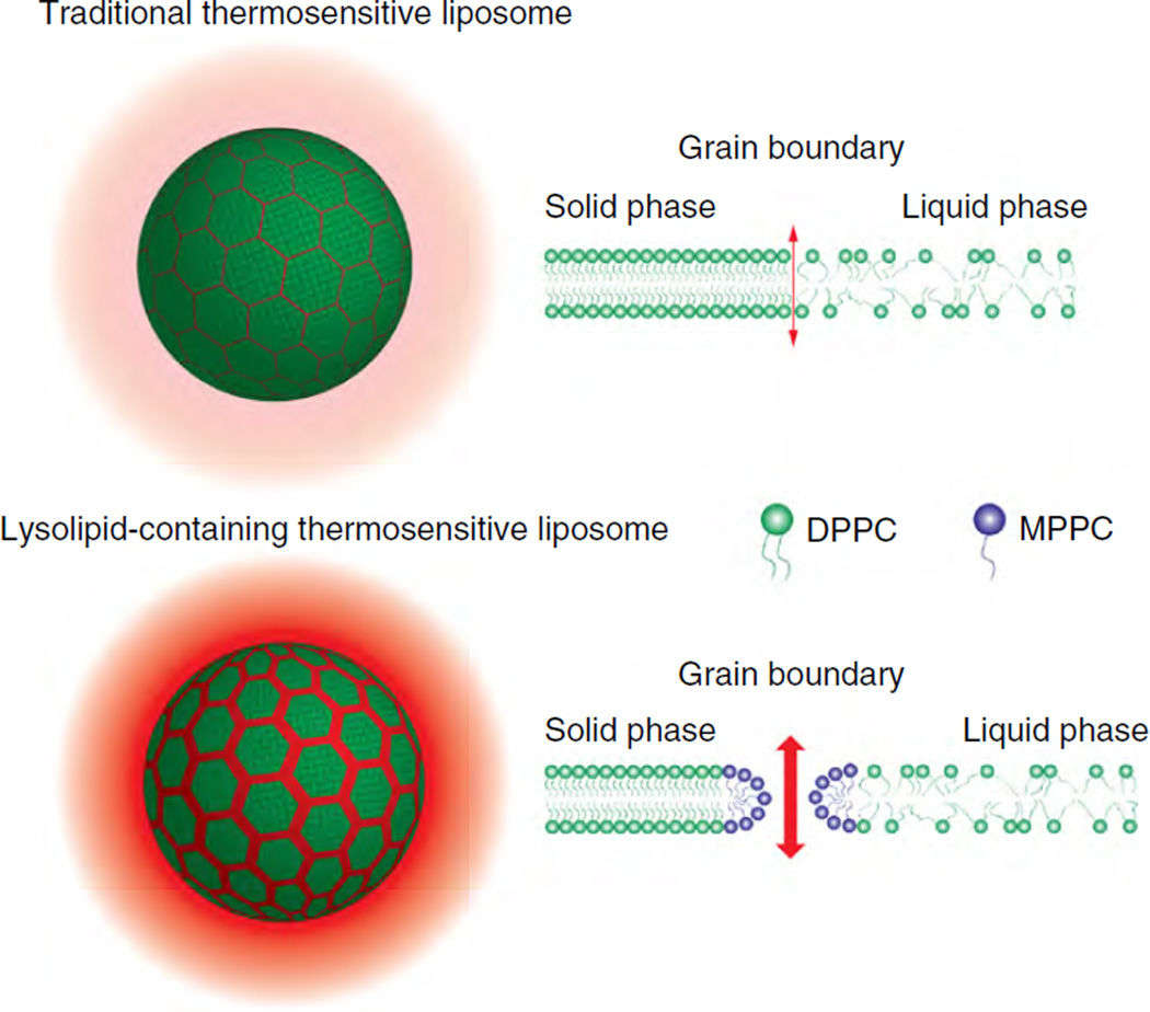 Fig.1 Structure of temperature-sensitive liposomes.