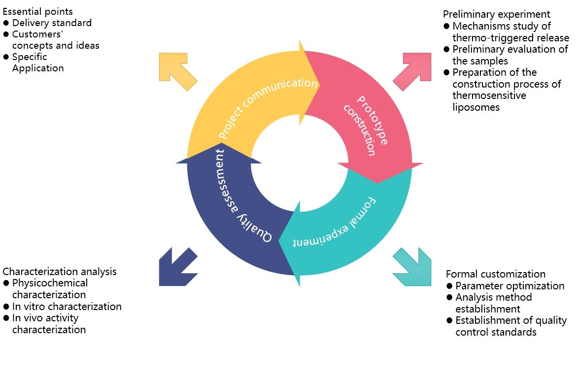 Fig.2 Our workflow of temperature responsive liposome service.