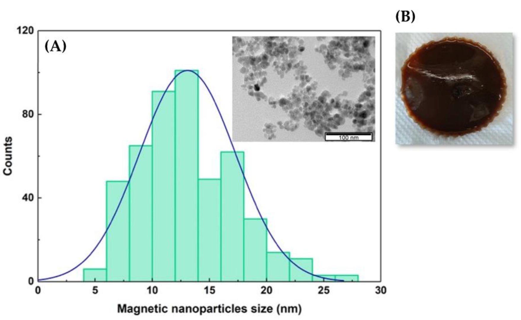 Fig.3 Size distribution and TEM images of the magnetic liposome.