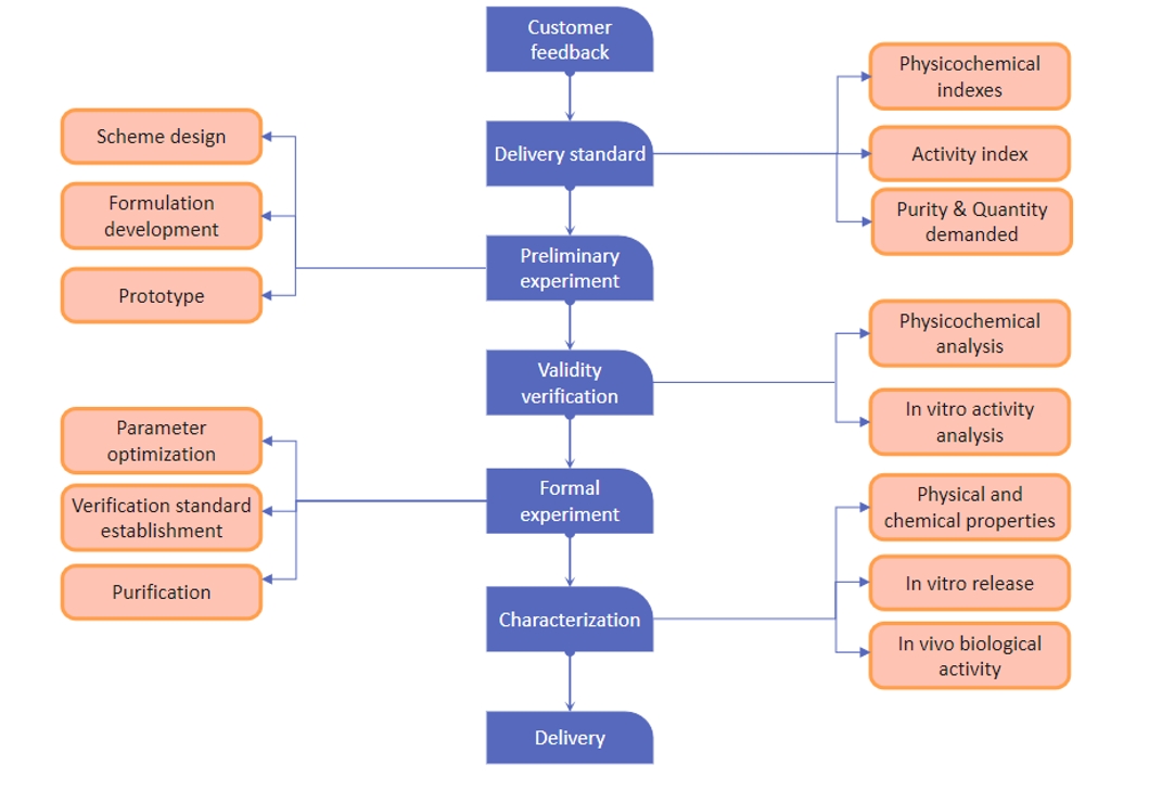 Fig.2 Our workflow for ultrasound-sensitive liposome.