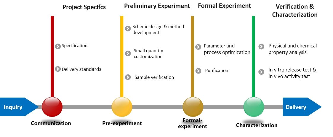 Fig.2 Illustrative workflow of our customized pH-redox responsive liposome service.