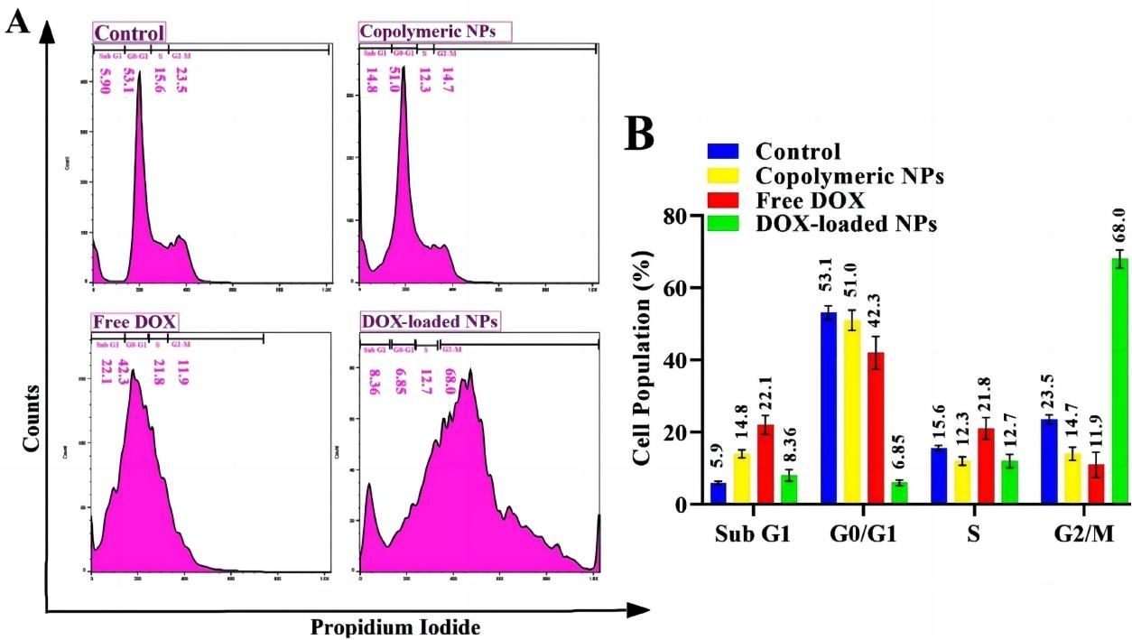 Fig.3 Histogram of cell cycle distribution treated with liposomes.