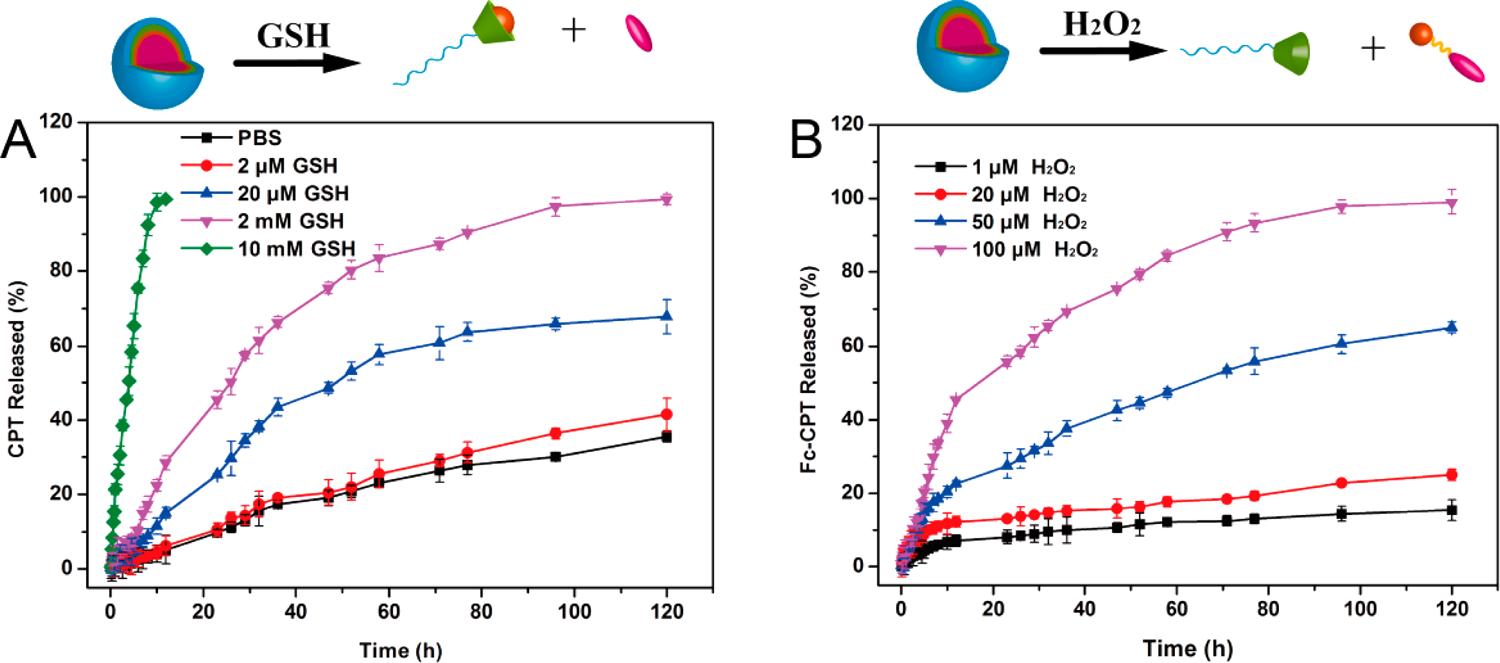 Fig.2 Release profiles of CPT from supramolecular complex micelles.