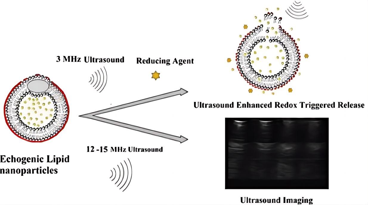 Fig.1 Schematic representation of redox/ultrasound responsive liposomes.