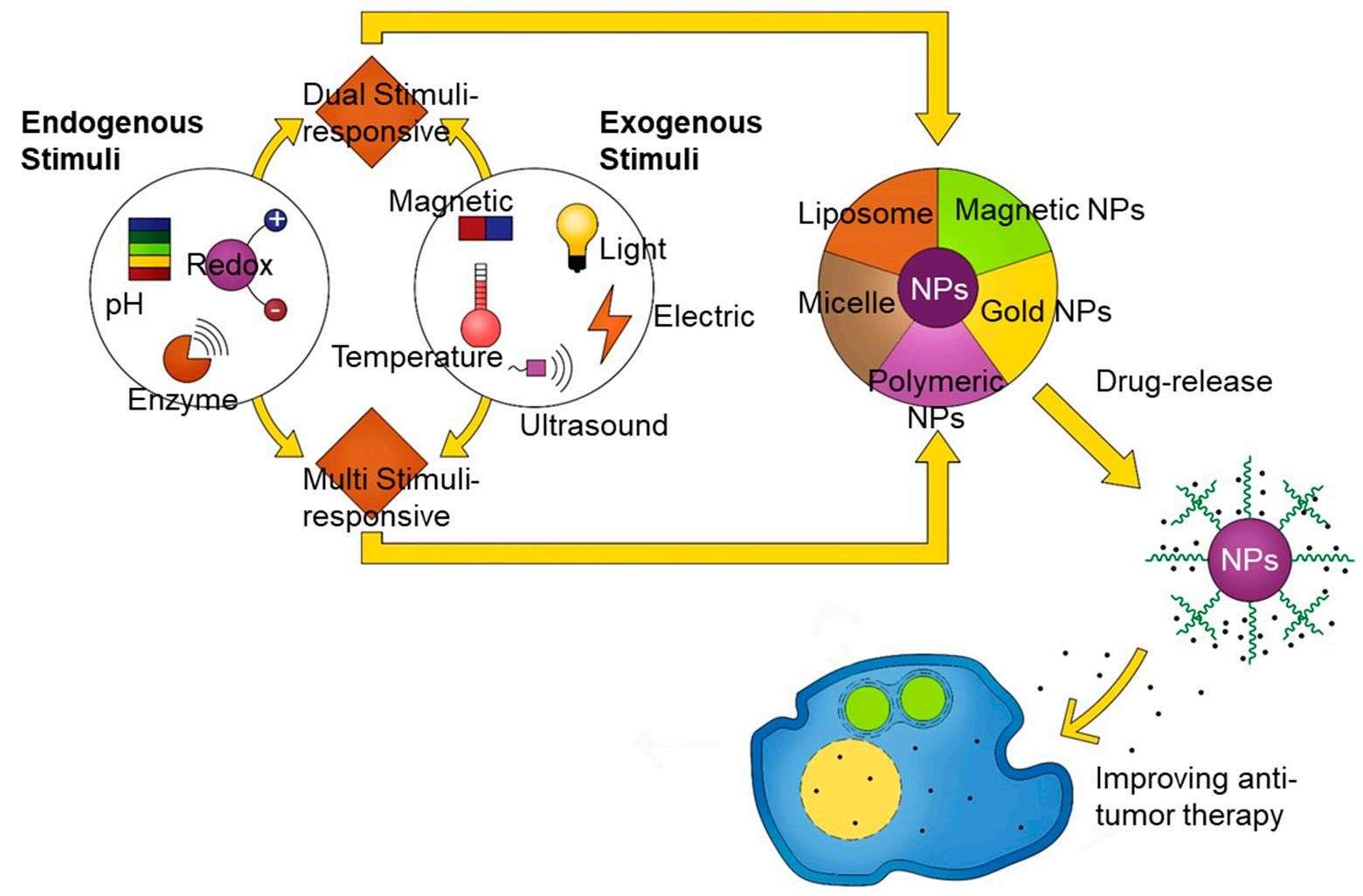 Fig.1 Schematic representation of nanoparticles containing assembled multi-response stimuli.