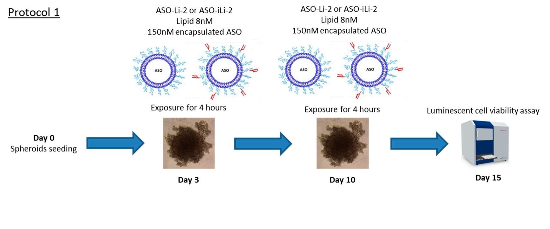 Fig. 2 Cationic liposomes grafted with trastuzumab technique.