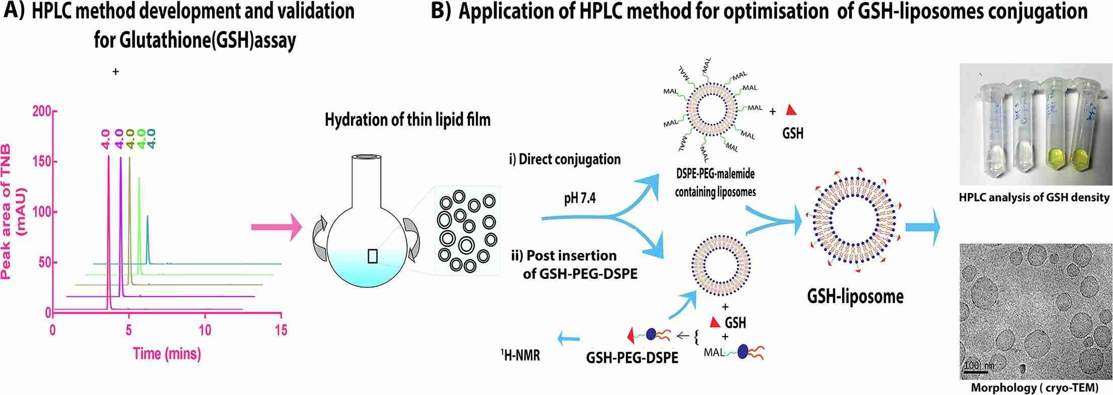 Fig. 1 Schematic diagram of glutathione-liposomes development.