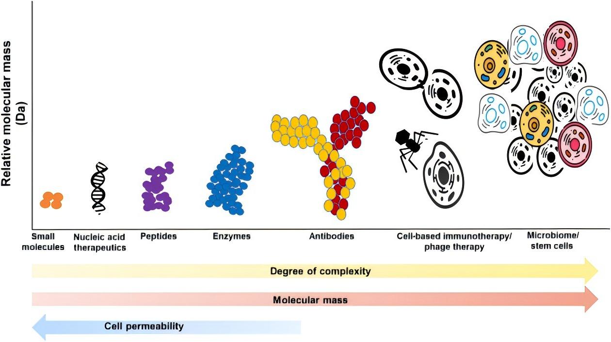 Fig.1 Different biological modalities of biologics.