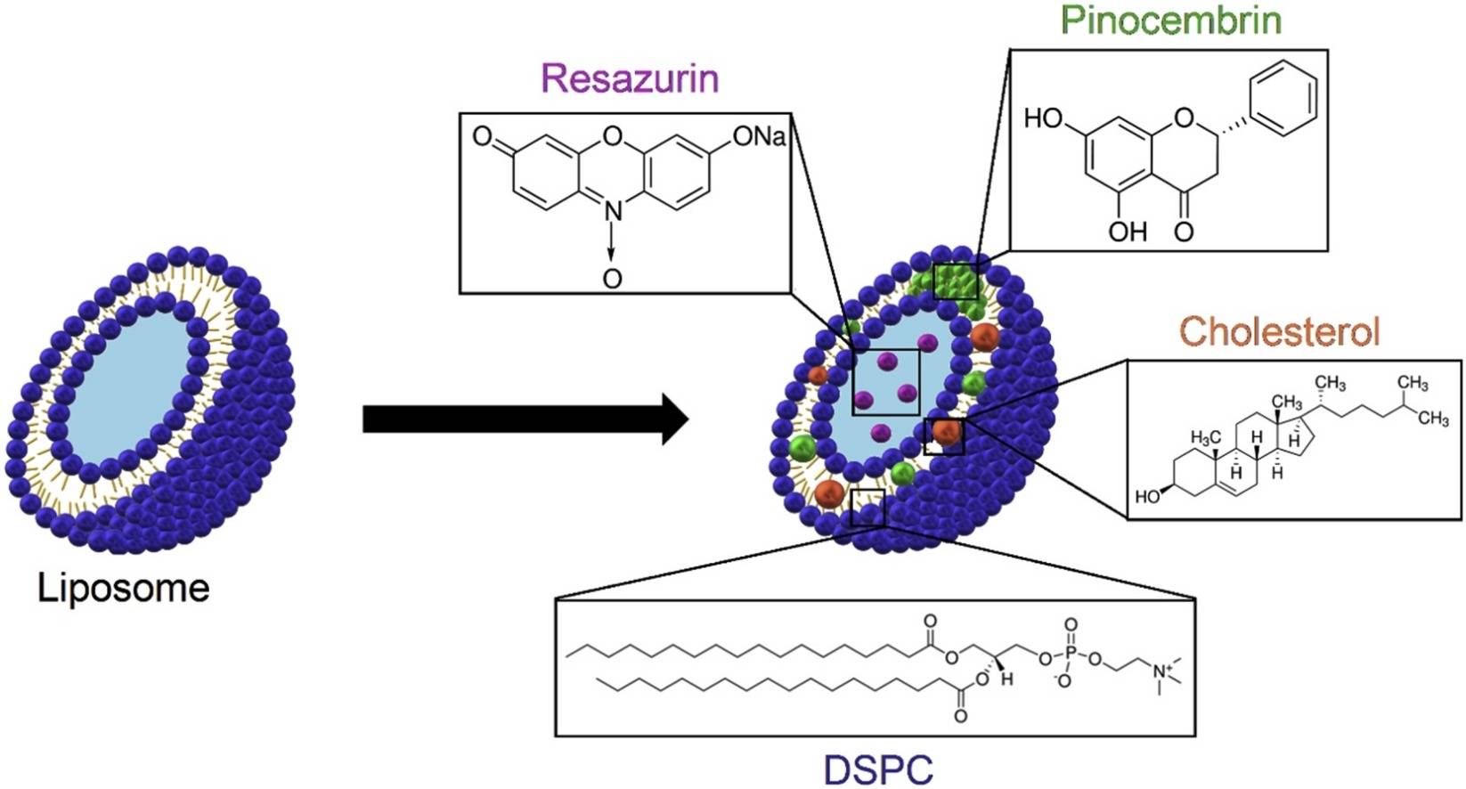 Fig.3 Small molecule drugs in liposomes via electrospray-remote loading.