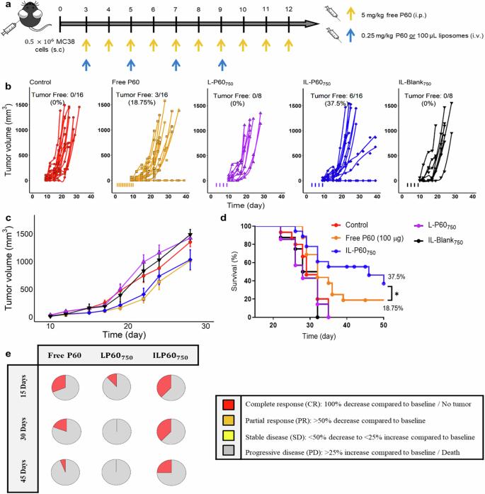 Fig.2 Antitumor in-vivo response assayed in tumor-bearing mice.