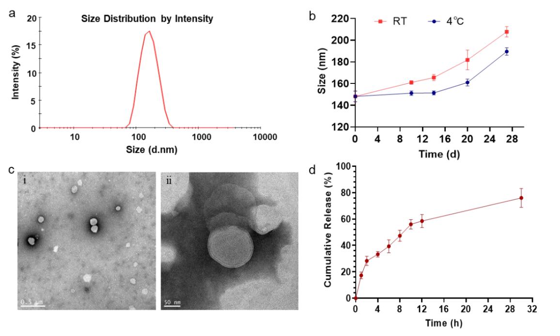 Fig.3 Physical-chemical properties of liposome.