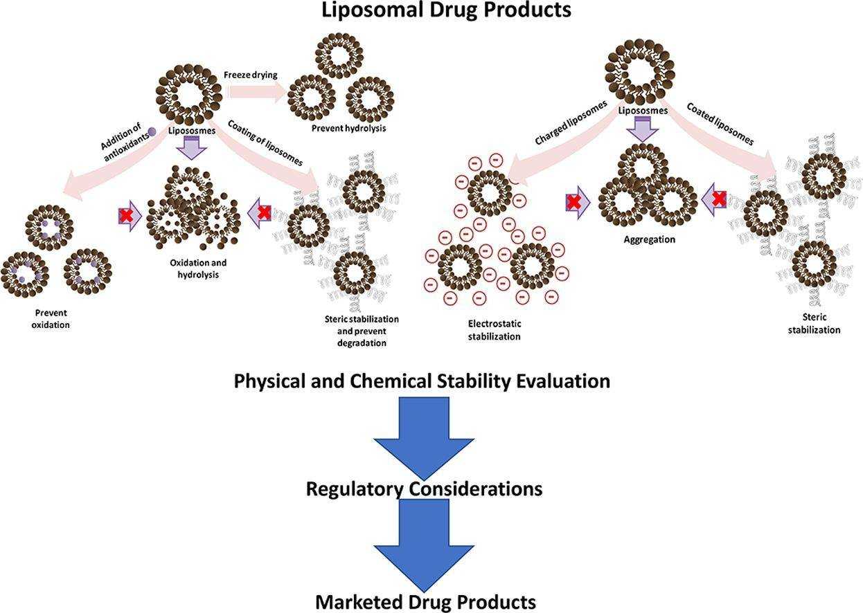 Fig.1 Stability characterization for pharmaceutical liposome product