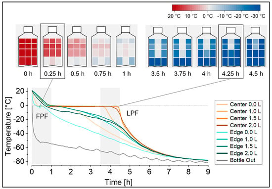 Fig.2 Temperature profiles during freezing at −80°C.