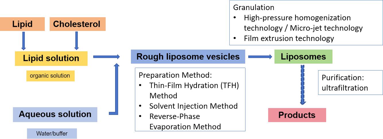 Diagram showing liposome preparation steps.