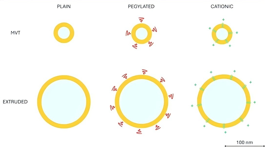 Liposome delivery system for FLUD against Botrytis cinerea.