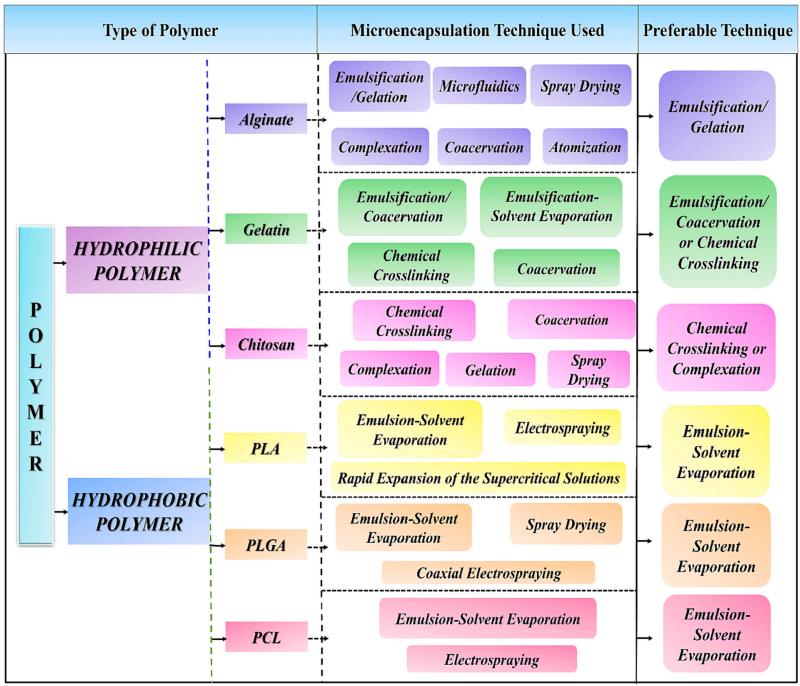 Fig.4 Microparticle synthesis process.