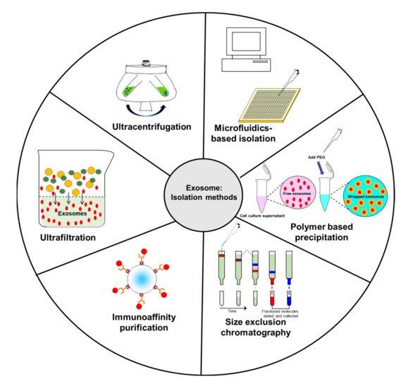 Fig.2 Exosome isolation methods.