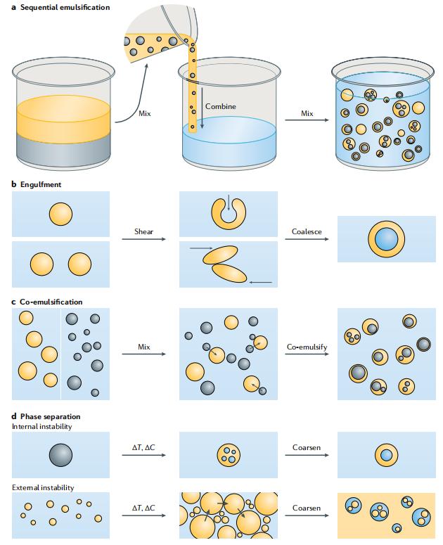 Fig.2 Multiple nanoemulsion preparation techniques.