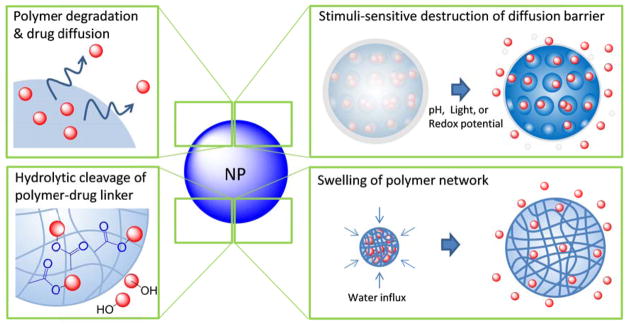 Fig.2 Mechanisms of drug release from nanocarriers.