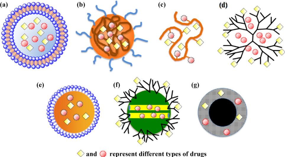 Fig.1 Nanocarriers for combinatorial drug delivery.