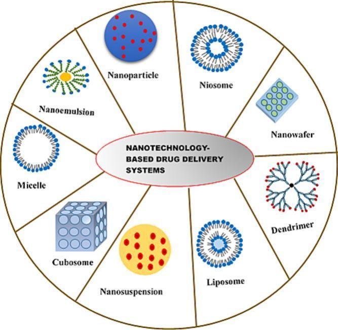 Fig.1 Nanotechnology-based drug delivery systems for ocular.