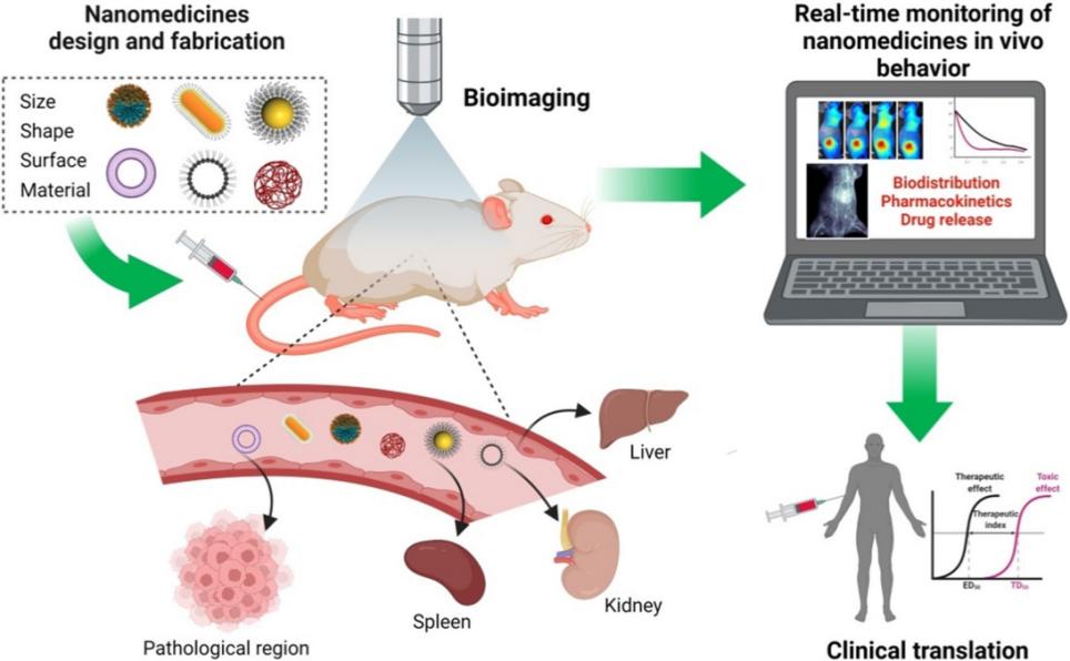 Fig.1 Nanoformulation evaluation using in vivo imaging.