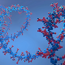 CD-Formulation-about-us-2