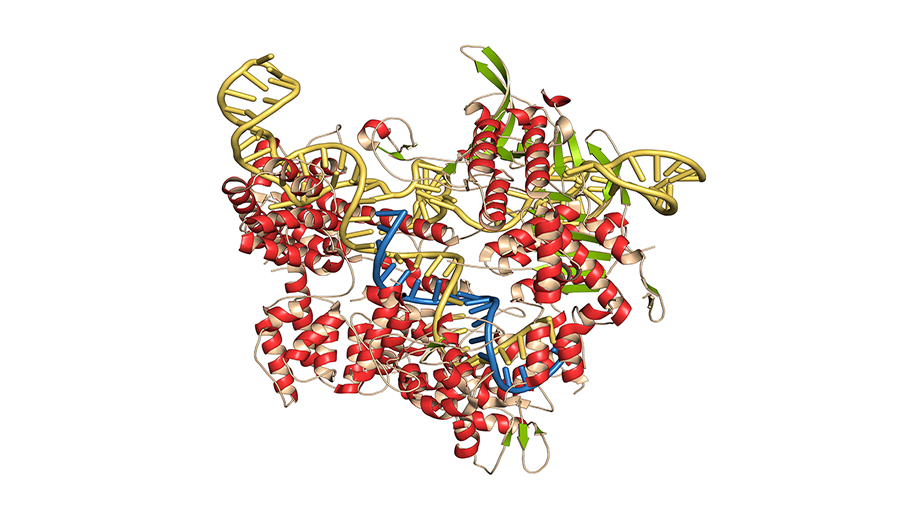 Innovative-Nucleic-Acid-Formulations-Solutions-sgRNA