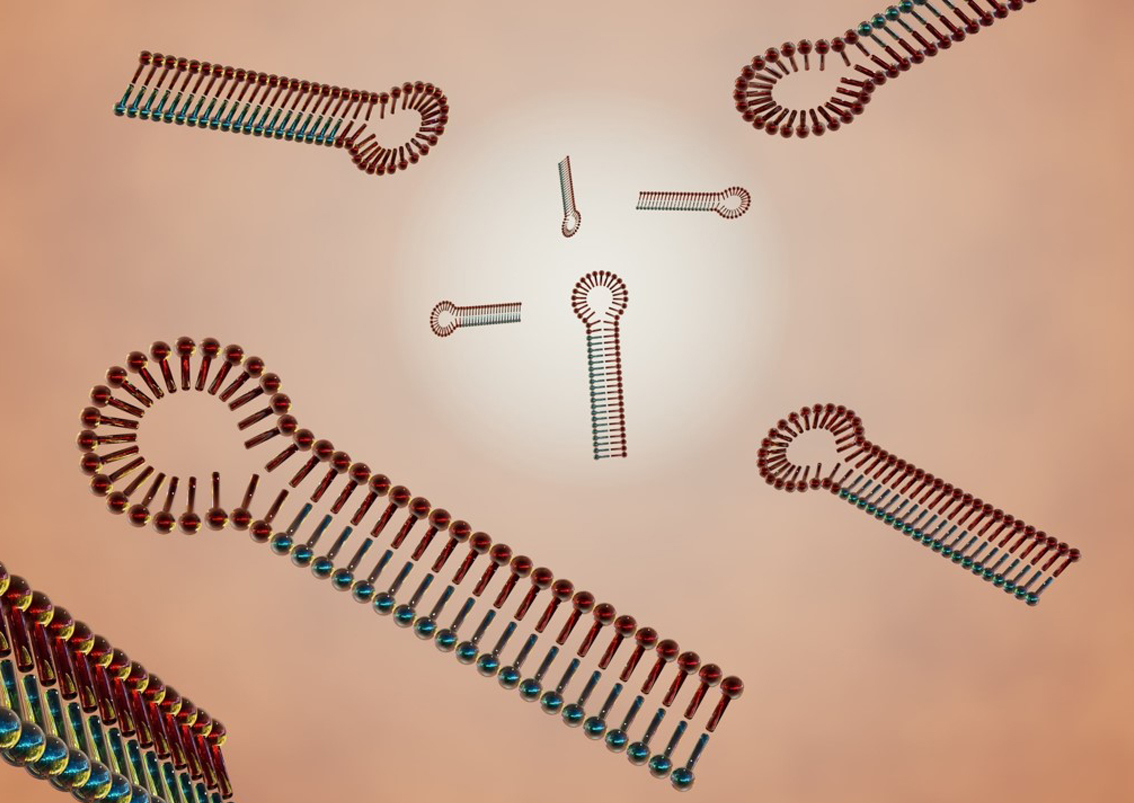 Resources-What-is-RNA-Interference-(RNAi)-Therapeutic-Technology