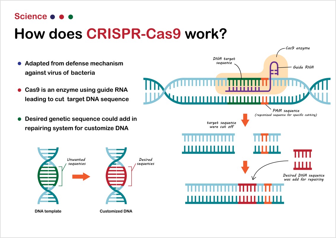 Resources-CRISPR-Cas9-Technology-in-Nucleic-Acid-Formulations