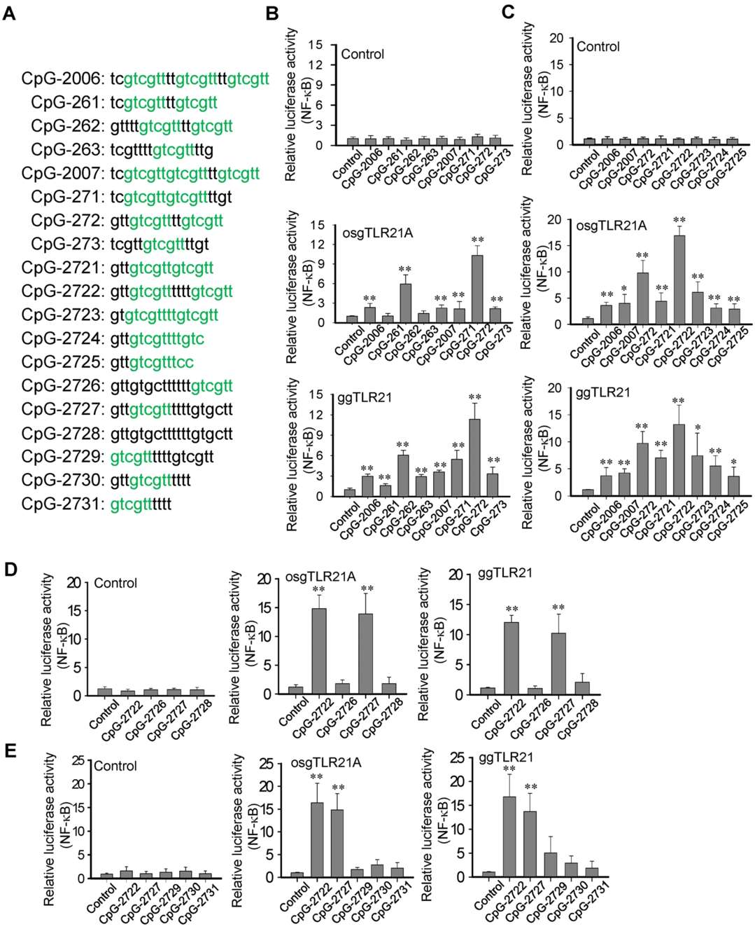 Fig.2 Development of CpG-ODNs for strong activation.