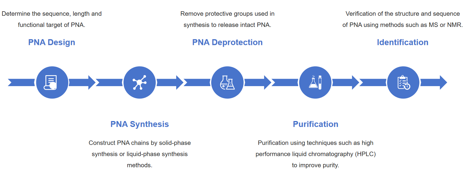 Fig.2 Workflow for Peptide Nucleic Acid (PNA) preparation