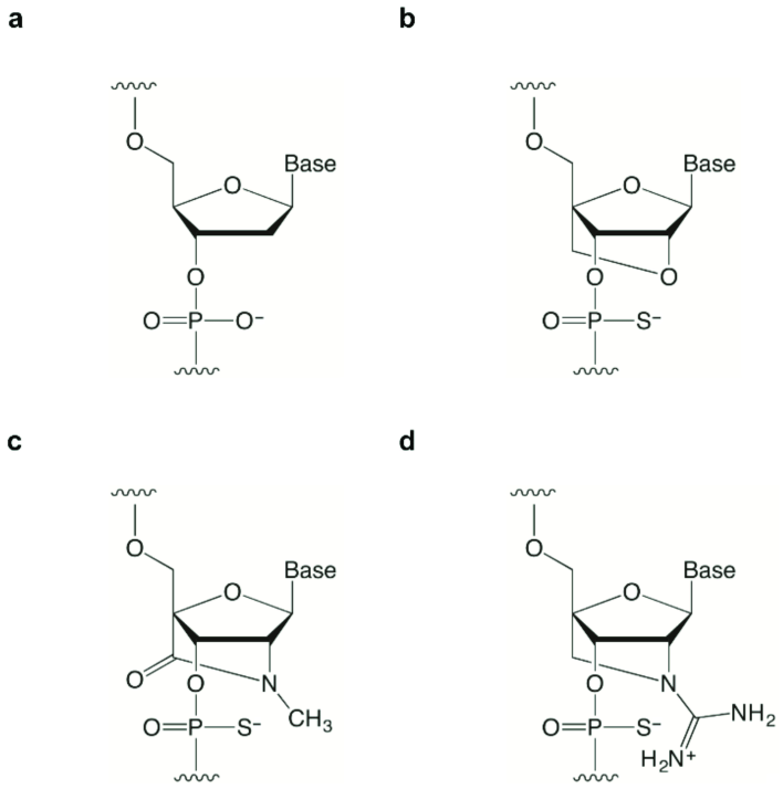 Fig.2 Synthetic bridged nucleic acids (BNAs) by chemical synthesis technology