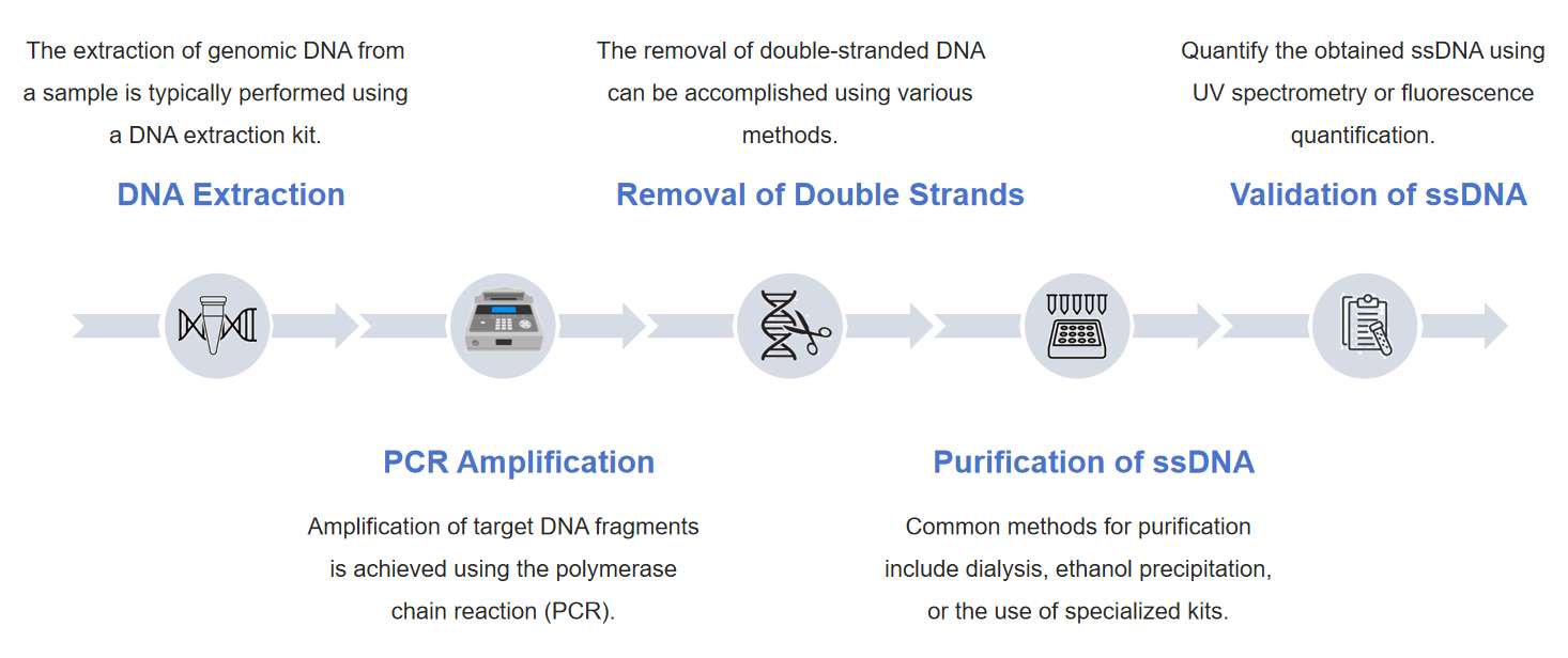 Fig.2 Synthetic bridged nucleic acids (BNAs) by chemical synthesis technology