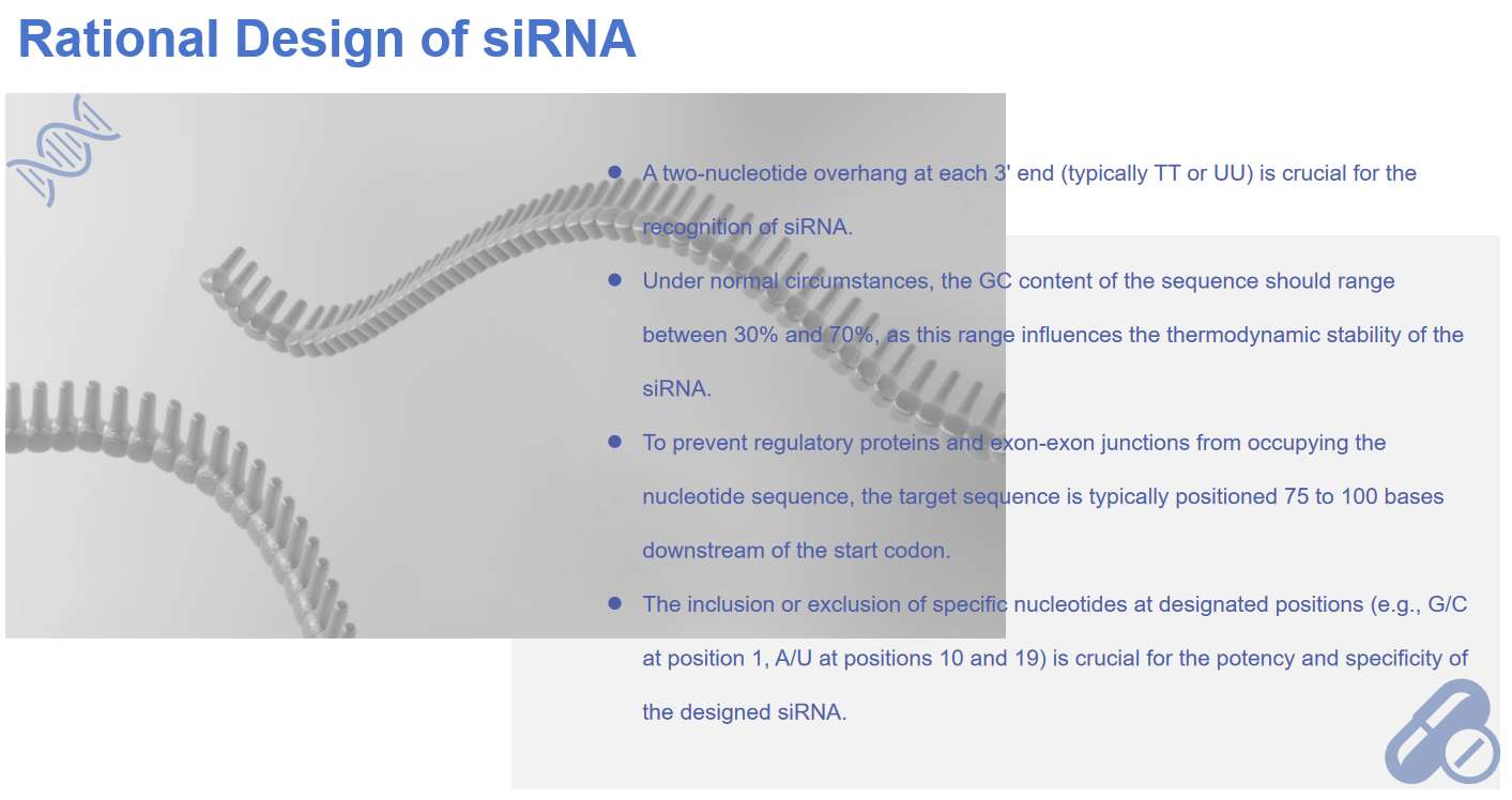 Fig.1 Rational Design of siRNA