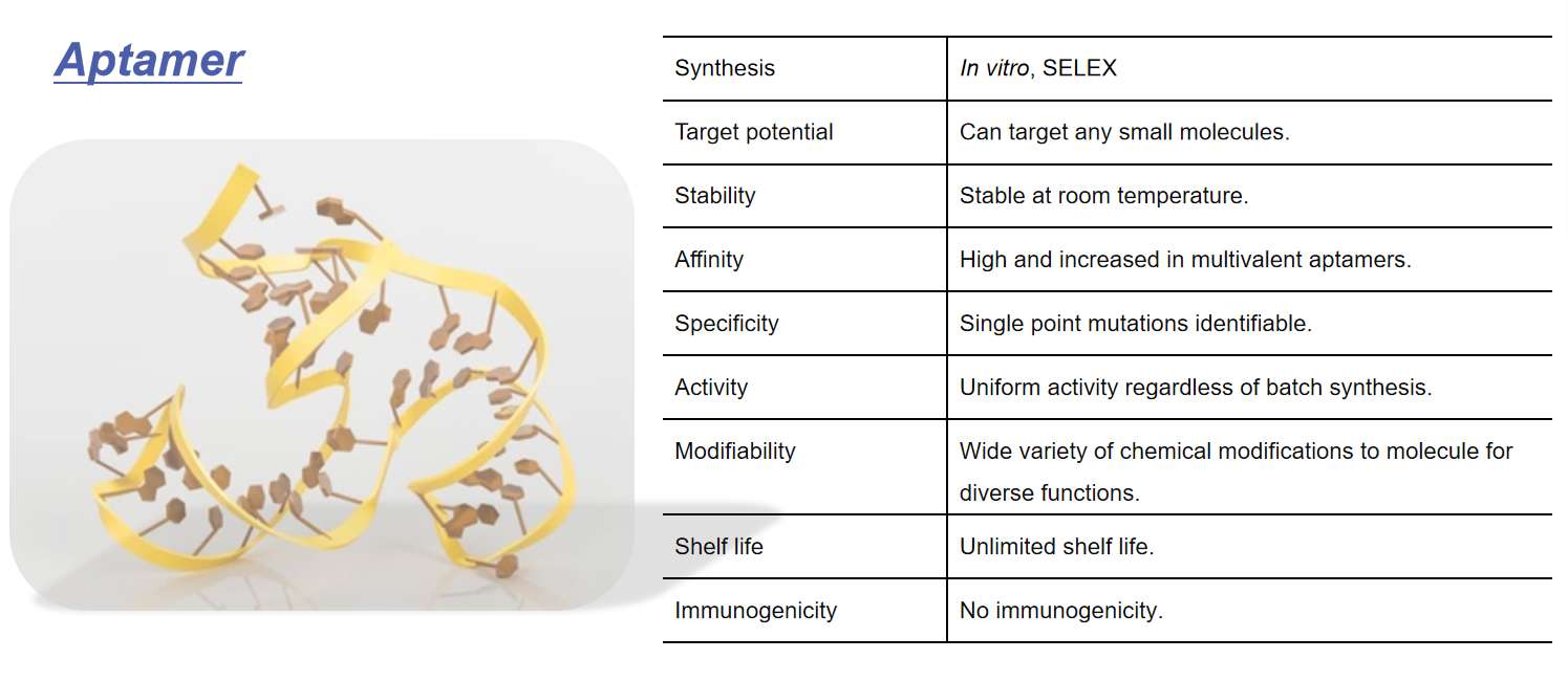 Fig.1 Characteristics of Aptamers