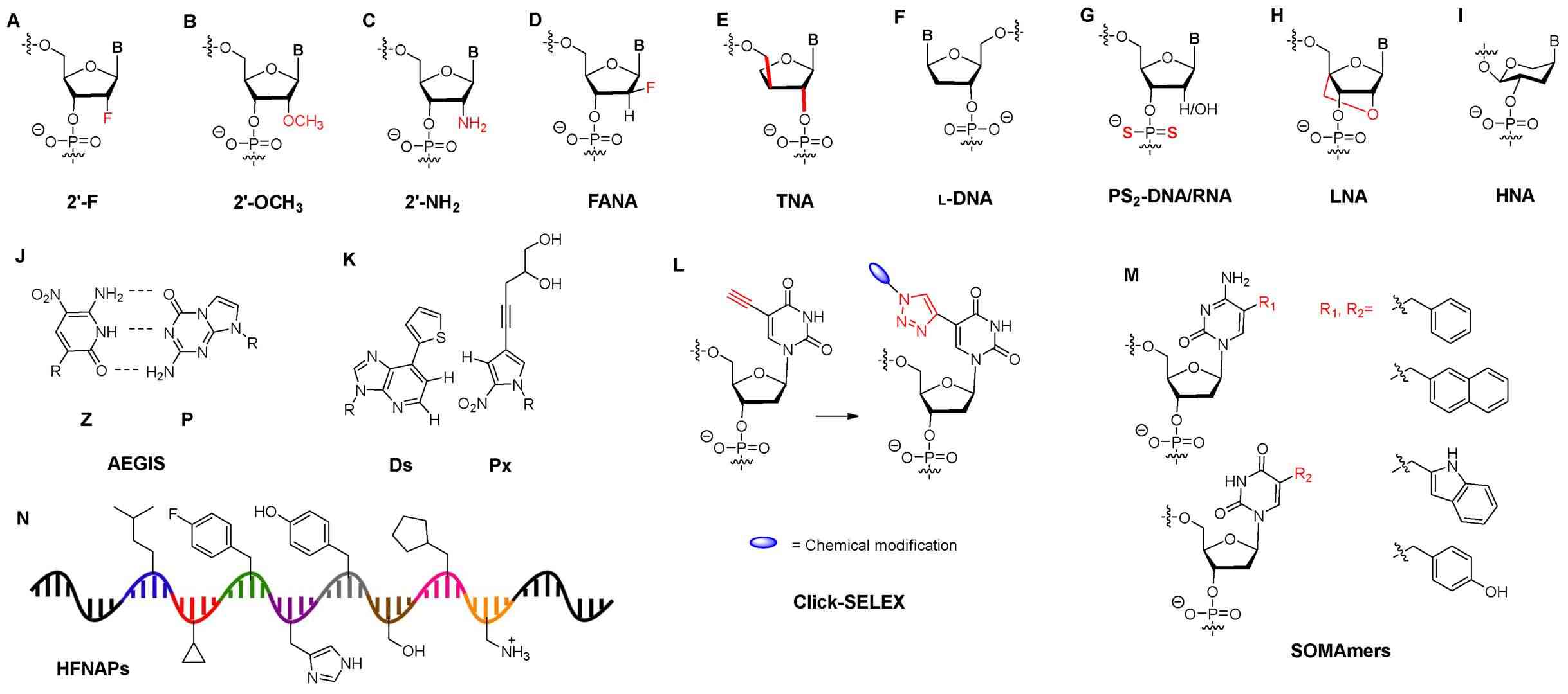 Fig.3 Chemical modifications for aptamers.