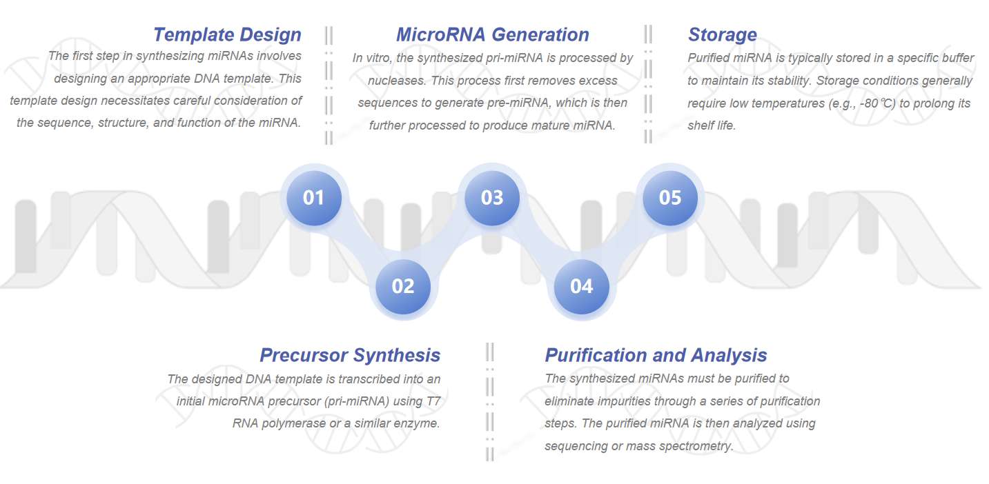 Fig.2 The process of preparing miRNA