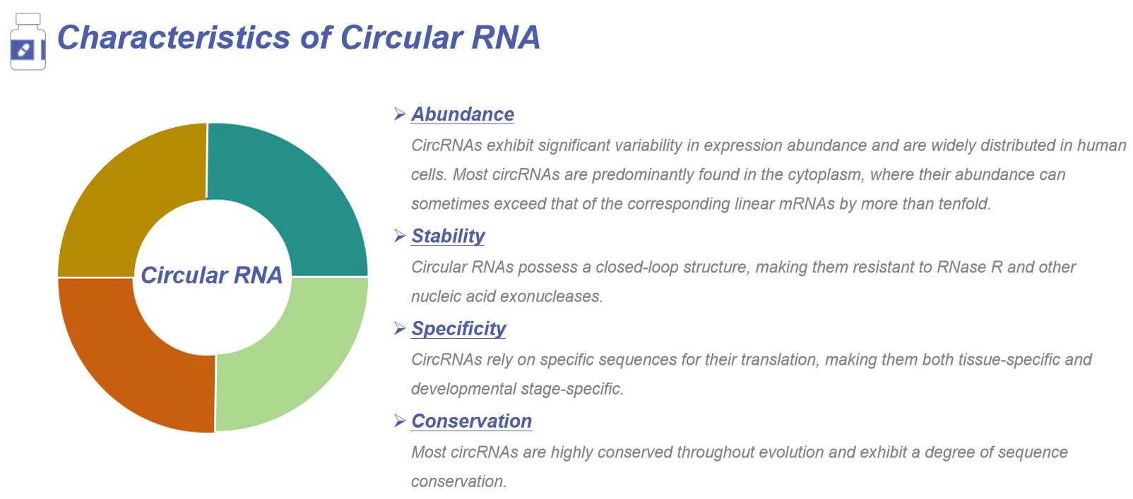 Fig.1 Characteristics of circular RNA