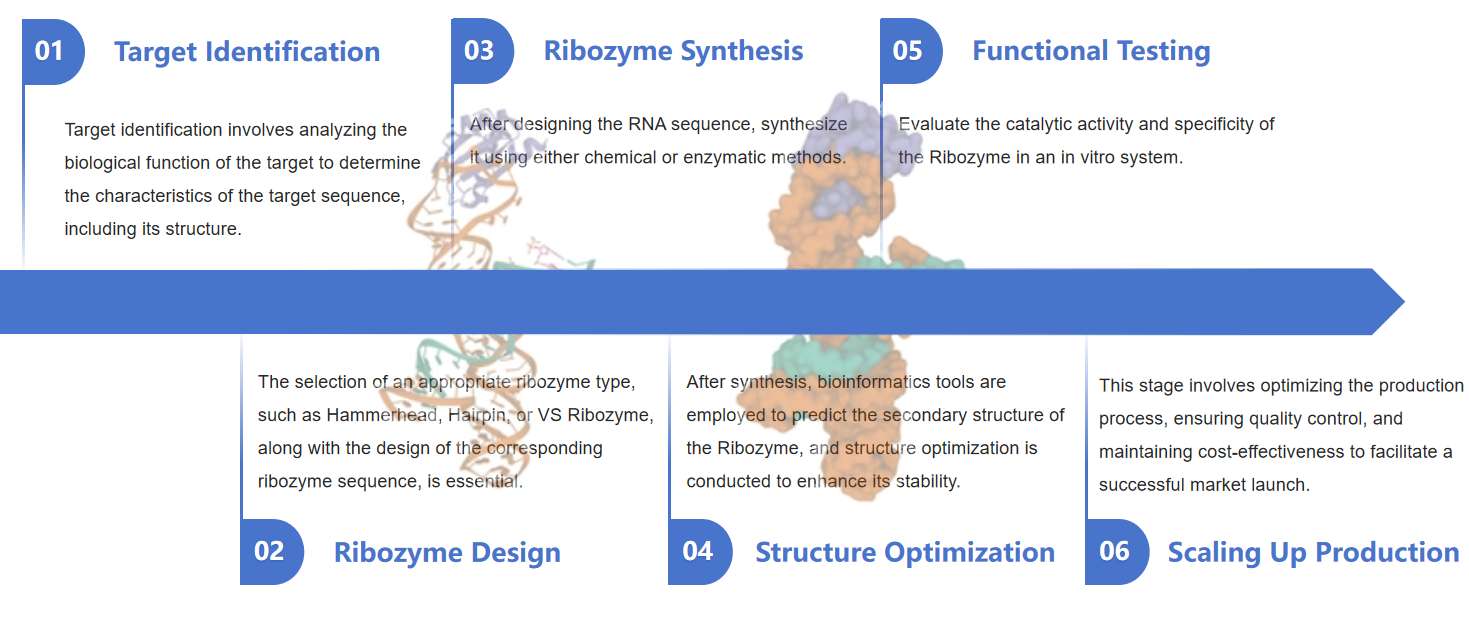 Fig.1 The process of preparing ribozyme