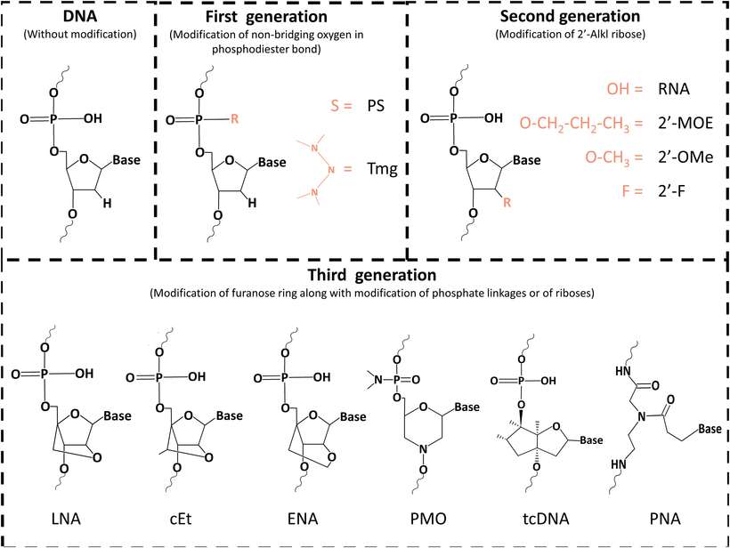 Fig.3 Backbone modifications of nucleic acid.