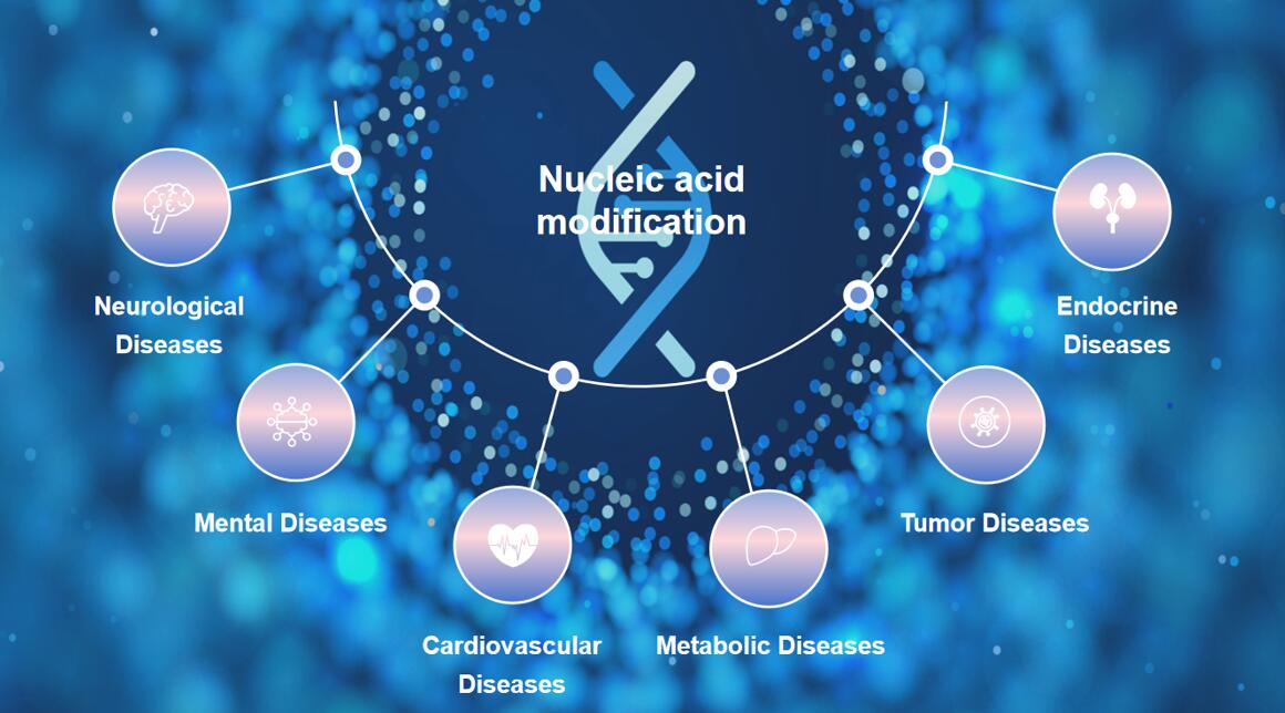 Fig.1 Benefits of nucleic acid modification.