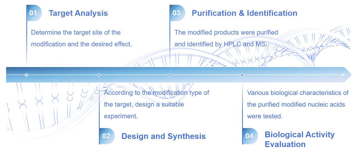 Fig. 2 Nucleic acid modification process