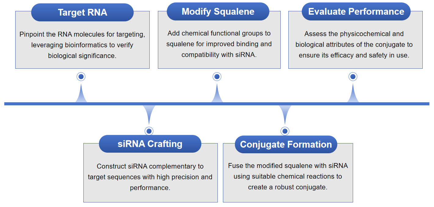 Fig.1 Development flowchart of squalene-siRNA conjugates. 