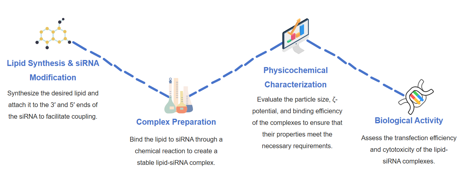 Fig.2 Workflow for lipid-siRNA conjugates development.