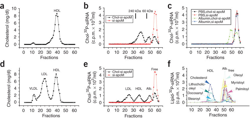 Fig.3 Lipid-conjugated siRNAs associate with lipoproteins & albumin.