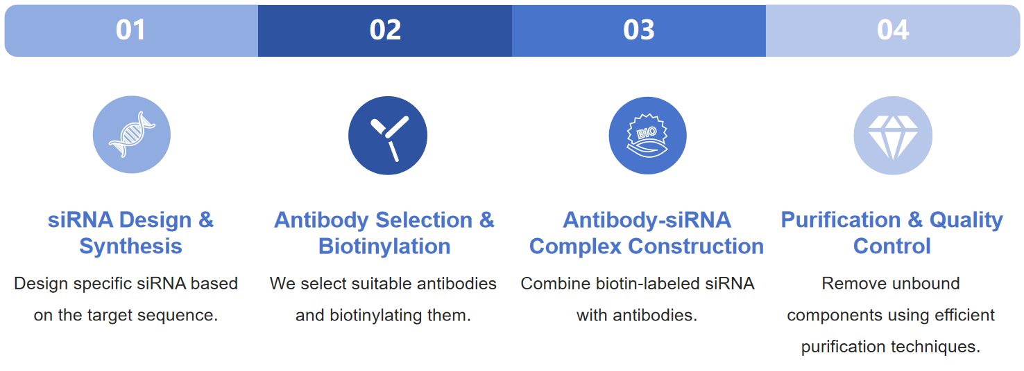 Fig.2 Workflow for antibody-siRNA conjugate development.