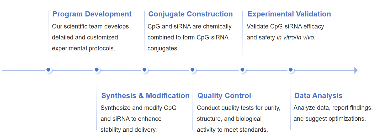 Fig.1 Workflow for CpG-siRNA conjugates development.