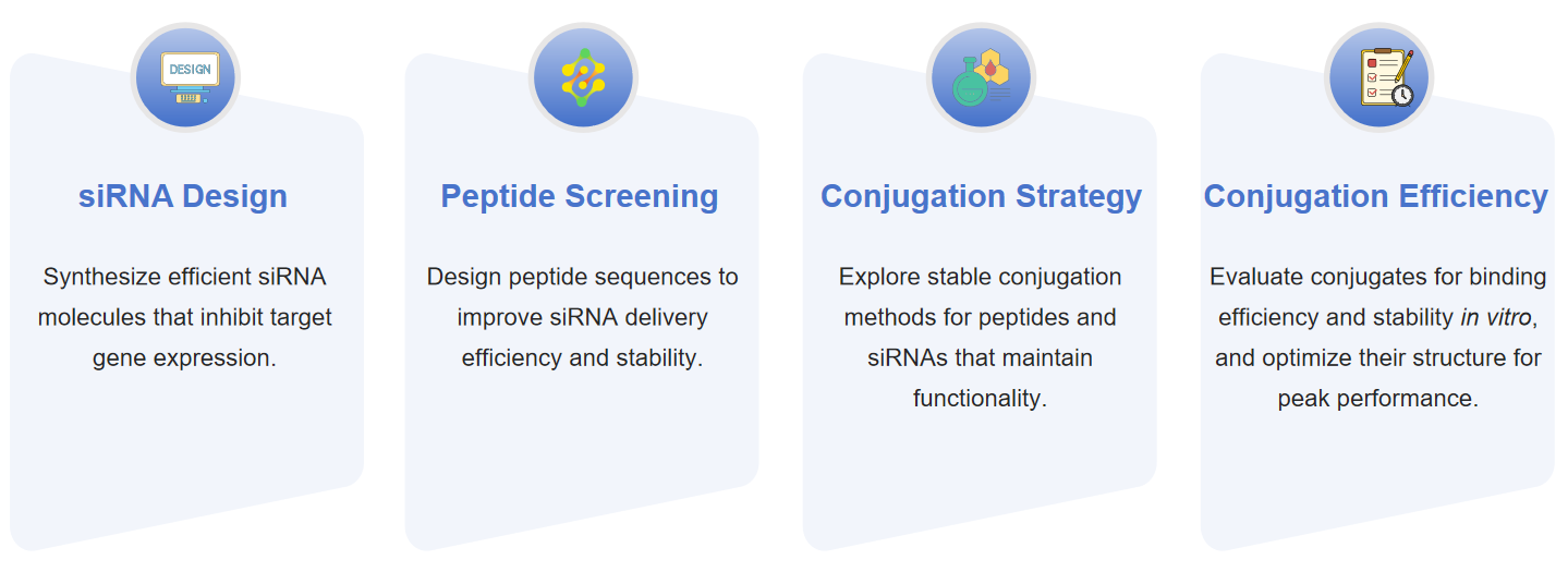 Fig.2 Process diagram of peptide-siRNA conjugate formation.