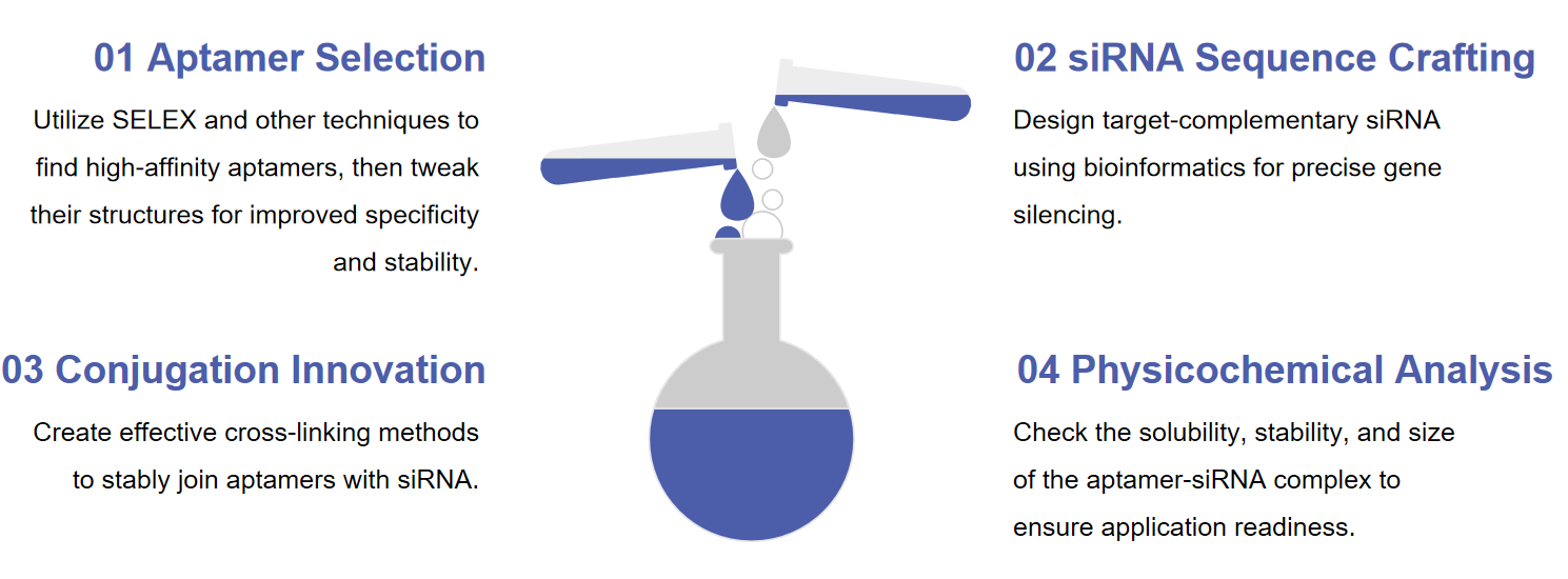 Fig.2 Diagram of the Development Process for Aptamer-siRNA Conjugates.